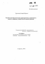 Хозяйственно-биологическая характеристика и адаптивность сортов и гибридов озимой твердой пшеницы - тема автореферата по сельскому хозяйству, скачайте бесплатно автореферат диссертации