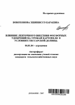 Влияние ленточного внесения фосфорных удобрений на урожай картофеля в условиях Гиссарской долины - тема автореферата по сельскому хозяйству, скачайте бесплатно автореферат диссертации