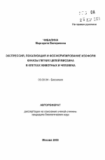 Экспрессия, локализация и фосфорилирование изоформ киназы легких цепей миозина в клетках животных и человека - тема автореферата по биологии, скачайте бесплатно автореферат диссертации