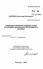 Совершенствование подвоев груши в условиях Центрально-Черноземного региона - тема автореферата по сельскому хозяйству, скачайте бесплатно автореферат диссертации