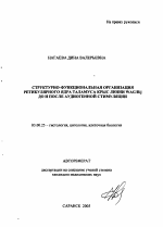 Структурно-функциональная организация ретикулярного ядра таламуса крыс линии WAG/Rij до и после аудиогенной стимуляции - тема автореферата по биологии, скачайте бесплатно автореферат диссертации