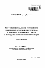 Морфофункциональные особенности щитовидной железы, надпочечников и яичников у ремонтных свинок в период становления половой функции - тема автореферата по биологии, скачайте бесплатно автореферат диссертации