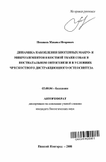 Динамика накопления биогенных макро- и микроэлементов в костной ткани собак в постнатальном онтогенезе и в условиях чрескостного дистракционного остеосинтеза - тема автореферата по биологии, скачайте бесплатно автореферат диссертации