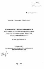 Формирование урожая и экологическая пластичность различных сортов сахарной свеклы в условиях Южной лесостепи Республики Башкортостан - тема автореферата по сельскому хозяйству, скачайте бесплатно автореферат диссертации