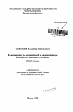 Род Equisetum L. в российской и мировой флоре - тема автореферата по биологии, скачайте бесплатно автореферат диссертации