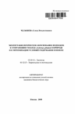 Эколого-биологическое обоснование подходов к сохранению гепарда (Acinonyx jubatus) в природе и к оптимизации условий содержания в неволе - тема автореферата по биологии, скачайте бесплатно автореферат диссертации