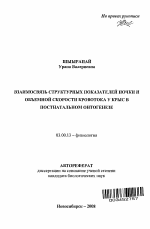 Взаимосвязь структурных показателей почки и объемной скорости кровотока у крыс в постнатальном онтогенезе - тема автореферата по биологии, скачайте бесплатно автореферат диссертации