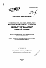 Эффективность выращивания бычков красной степной породы и ее помесей с шортгорнами, герефордами и симменталами мясного типа канадской селекции - тема автореферата по сельскому хозяйству, скачайте бесплатно автореферат диссертации