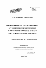 Формирование высокопродуктивных агрофитоценозов многолетних и однолетних кормовых культур в лесостепи Среднего Поволжья - тема автореферата по сельскому хозяйству, скачайте бесплатно автореферат диссертации