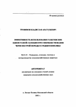 Эффективность использования голштинских быков разной селекции при совершенствовании черно-пестрой породы в Среднем Поволжье - тема автореферата по сельскому хозяйству, скачайте бесплатно автореферат диссертации