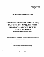 Хозяйственно-полезные признаки овец ставропольской породы при разной песижности, извитости шерсти и складчатости кожи новорожденных ягнят - тема автореферата по сельскому хозяйству, скачайте бесплатно автореферат диссертации