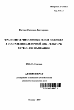 Фрагменты рибосомных генов человека в составе внеклеточной ДНК: факторы стресс-сигнализации - тема автореферата по биологии, скачайте бесплатно автореферат диссертации