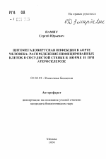 Цитомегаловирусная инфекция в аорте человека: распределение инфицированных клеток в сосудистой стенке в норме и при атеросклерозе - тема автореферата по биологии, скачайте бесплатно автореферат диссертации