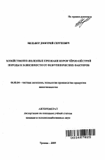 Хозяйственно-полезные признаки коров черно-пестрой породы в зависимости от фенотипических факторов - тема автореферата по сельскому хозяйству, скачайте бесплатно автореферат диссертации