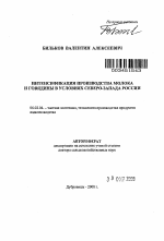 Интенсификация производства молока и говядины в условиях Северо-Запада России - тема автореферата по сельскому хозяйству, скачайте бесплатно автореферат диссертации