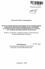 Использование индексной оценки при сравнительной характеристике продуктивных качеств свиней крупной белой и скороспелой мясной (СМ-1) пород в условиях промышленной технологии - тема автореферата по сельскому хозяйству, скачайте бесплатно автореферат диссертации