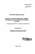 Оценка сортов и гибридов сливы в условиях Волго-Вятского региона России - тема автореферата по сельскому хозяйству, скачайте бесплатно автореферат диссертации