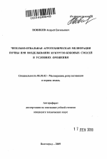 Чизельно-отвальная агротехническая мелиорация почвы при возделывании кукурузо-бобовых смесей в условиях орошения - тема автореферата по сельскому хозяйству, скачайте бесплатно автореферат диссертации