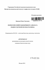 Морфогенез нейроэндокринного аппарата поджелудочной железы человека - тема автореферата по биологии, скачайте бесплатно автореферат диссертации