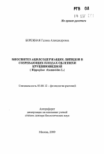 Биосинтез ацилсодержащих липидов в созревающих плодах облепихи крушиновидной - тема автореферата по биологии, скачайте бесплатно автореферат диссертации