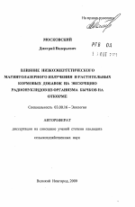 Влияние низкоэнергетического магнитолазерного излучения и растительных кормовых добавок на экскрецию радионуклидов из организма бычков на откорме - тема автореферата по биологии, скачайте бесплатно автореферат диссертации