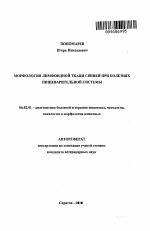 Морфология лимфоидной ткани свиней при болезнях пищеварительной системы - тема автореферата по сельскому хозяйству, скачайте бесплатно автореферат диссертации