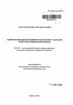 Морфология дыхательной мускулатуры у маралов в постнатальном онтогенезе - тема автореферата по сельскому хозяйству, скачайте бесплатно автореферат диссертации