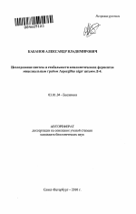 Исследование синтеза и стабильности амилолитических ферментов мицелиальным грибом Aspergillus niger штамм Л-4 - тема автореферата по биологии, скачайте бесплатно автореферат диссертации