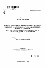 Болезни древесных и кустарниковых растений в парковых насаждениях музеев-заповедников Павловска и Гатчины и эффективность биопрепаратов в защите от голландской болезни вязов - тема автореферата по сельскому хозяйству, скачайте бесплатно автореферат диссертации