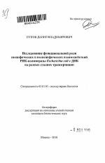 Исследование функциональной роли специфических и неспецифических взаимодействий РНК-полимеразы Escherichia coli с ДНК на разных стадиях транскрипции - тема автореферата по биологии, скачайте бесплатно автореферат диссертации