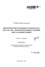 Биологические особенности видов рода Muscari Mill. при интродукции в таежной зоне Западной Сибири - тема автореферата по биологии, скачайте бесплатно автореферат диссертации