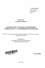 Морфология органов размножения свиноматок с различными генотипами - тема автореферата по сельскому хозяйству, скачайте бесплатно автореферат диссертации