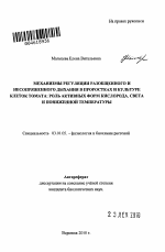 Механизмы регуляции разобщенного и несопряженного дыхания в проростках и культуре клеток томата: роль активных форм кислорода, света и пониженной температуры - тема автореферата по биологии, скачайте бесплатно автореферат диссертации