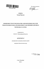 Изменения структуры хроматина в промоторных областях генов теплового шока при индукции транскрипции в дрожжах Saccharomyces cerevisiae - тема автореферата по биологии, скачайте бесплатно автореферат диссертации