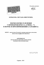 Морфология селезенки у бройлеров кросса "Смена-7" в норме и при применении "Гамавита" - тема автореферата по сельскому хозяйству, скачайте бесплатно автореферат диссертации