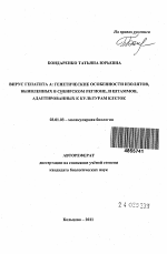 Вирус гепатита A: генетические особенности изолятов, выявленных в Сибирском регионе, и штаммов, адаптированных к культурам клеток - тема автореферата по биологии, скачайте бесплатно автореферат диссертации