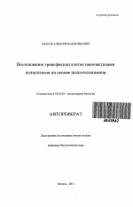 Исследование трансфекции клеток наночастицами полиплексов на основе полиэтиленимина - тема автореферата по биологии, скачайте бесплатно автореферат диссертации