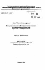 Исследование жизнеспособности клеток животных при культивировании в биореакторах в суспензии и на микроносителях - тема автореферата по биологии, скачайте бесплатно автореферат диссертации