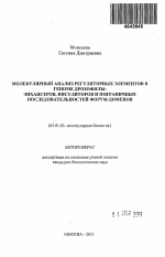 Молекулярный анализ регуляторных элементов в геноме дрозофилы: энхансеров, инсуляторов и пограничных последовательностей форум-доменов - тема автореферата по биологии, скачайте бесплатно автореферат диссертации