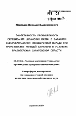 Эффективность промышленного скрещивания цигайских маток с баранами северокавказской мясошерстной породы при производстве молодой баранины в условиях Правобережья Саратовской области - тема автореферата по сельскому хозяйству, скачайте бесплатно автореферат диссертации