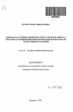 Синтез в растениях поверхностного антигена вируса гепатита B: повышение биологической безопасности трансгенных растений - тема автореферата по биологии, скачайте бесплатно автореферат диссертации