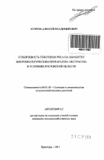 Отзывчивость генотипов риса на обработку микробиологическим препаратом "Экстрасол" в условиях Ростовской области - тема автореферата по сельскому хозяйству, скачайте бесплатно автореферат диссертации