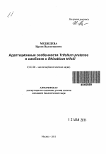 Адаптационные особенности Trifolium pratense в симбиозе с Rhizobium trifolii - тема автореферата по биологии, скачайте бесплатно автореферат диссертации