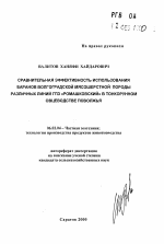 Сравнительная эффективность использования баранов волгоградской мясошерстной породы различных линий ГПЗ "Ромашковский" в тонкорунном овцеводстве Поволжья - тема автореферата по сельскому хозяйству, скачайте бесплатно автореферат диссертации