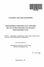 Микробиоценоз кишечника и его коррекция при желудочно-кишечных заболеваниях новорожденных телят - тема автореферата по сельскому хозяйству, скачайте бесплатно автореферат диссертации