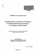 Формирование адаптивного сортимента облепихи (Hippophae Rhamnoides L.) в условиях Средней Сибири - тема автореферата по сельскому хозяйству, скачайте бесплатно автореферат диссертации