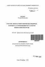 Участие апопластного пероксида водорода в процессах торможения роста клеток проростков кукурузы - тема автореферата по биологии, скачайте бесплатно автореферат диссертации