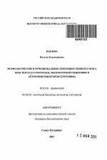 Морфологические и функциональные изменения спинного мозга крыс после его перерезки, локомоторной тренировки и стимуляции рецепторов серотонина - тема автореферата по биологии, скачайте бесплатно автореферат диссертации