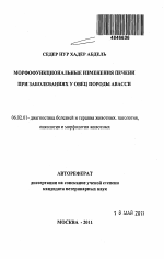 Морфофункциональные изменения печени при заболеваниях у овец породы авасси - тема автореферата по сельскому хозяйству, скачайте бесплатно автореферат диссертации