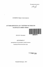 Ассоциация белка p53 с ядерным матриксом в клетках разных типов - тема автореферата по биологии, скачайте бесплатно автореферат диссертации